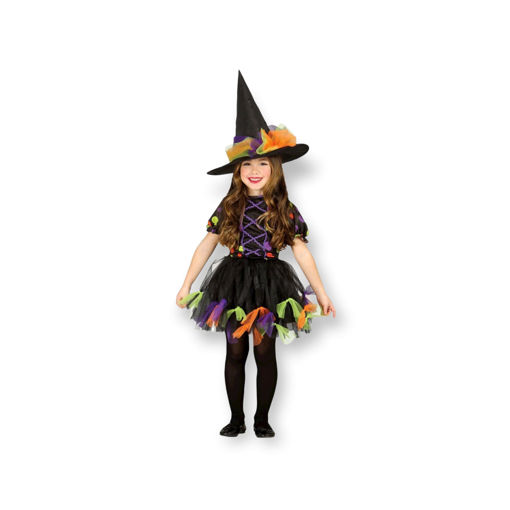 Picture of HAPPY WITCH COSTUME 10-12 YEARS